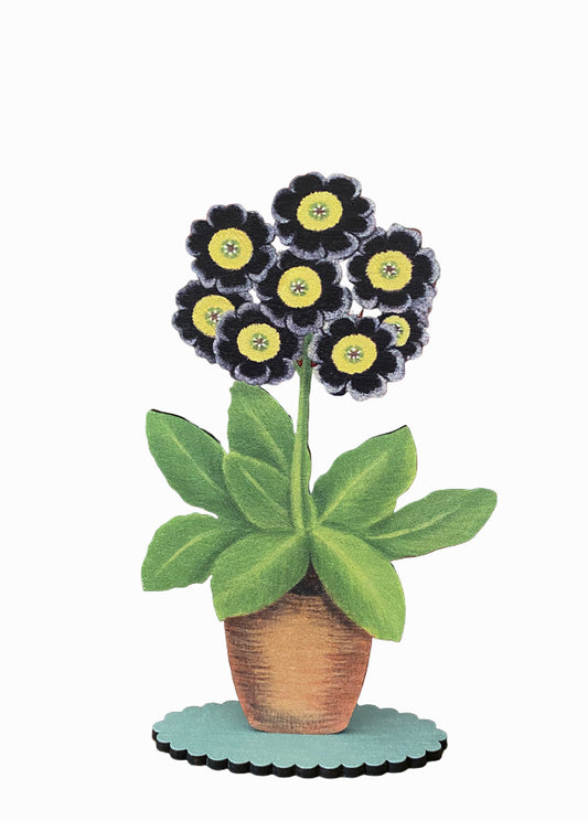 Auricula  Wooden Mantle Ornament