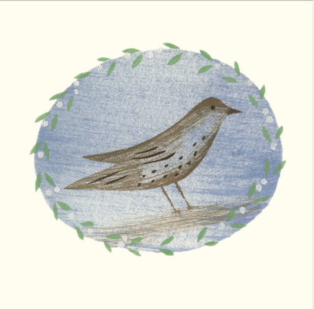 Sky Thrush  Greetings Card